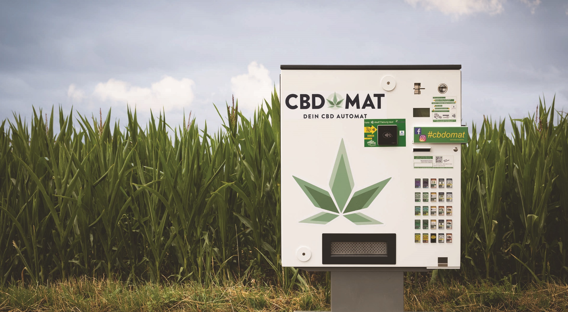 CBDoMat