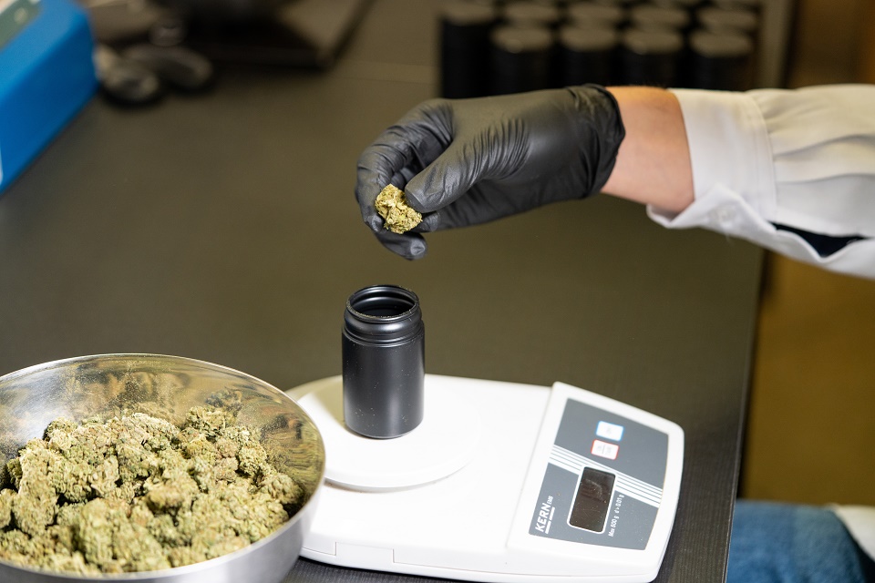 crystalweed-cannabis